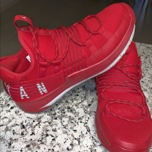 nike air jordan trainer pro